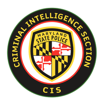 Load image into Gallery viewer, CIS UA Team Tech Polo Ms/Ws
