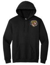 Load image into Gallery viewer, ED Gildan Hoody Sweatshirt, Screenprint
